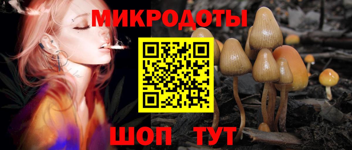 Псилоцибиновые грибы мицелий Сальск