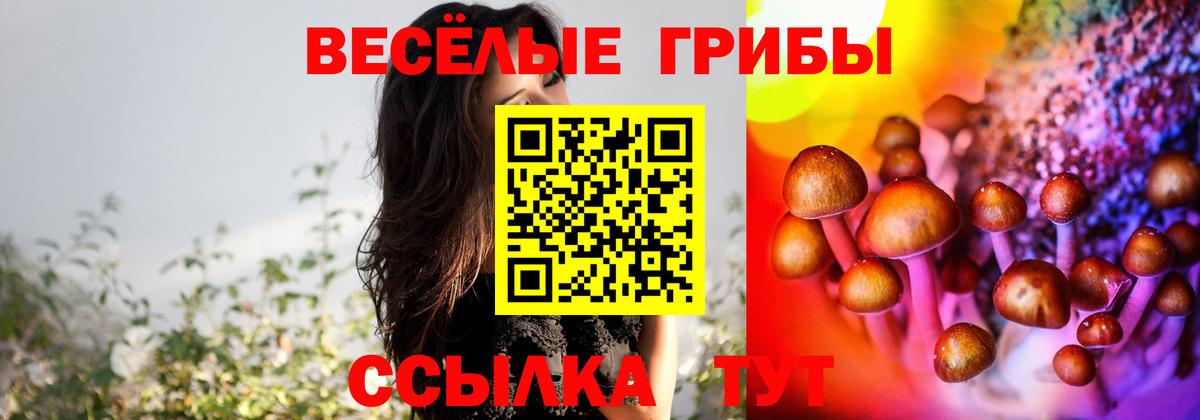 Меф МЯУ МЯУ   Сальск  ЭКСТАЗИ  Бошки Шишки  ГАШ  МАРИХУАНА  Вход с VPN  COCAIN 