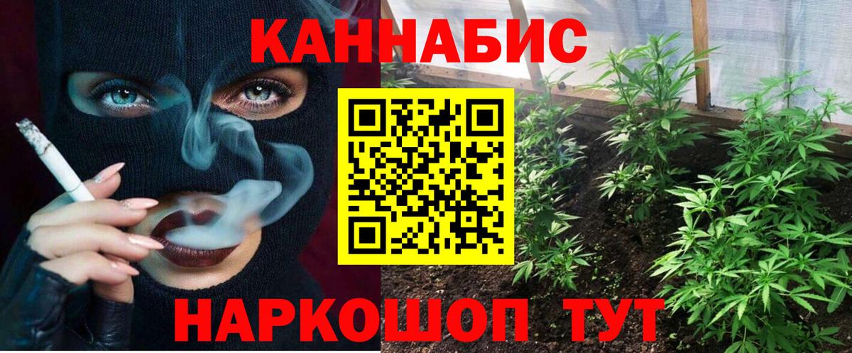 Сальск  Шишки марихуана конопля  Шишки марихуана THC 21%  Конопля AK-47  Вход с VPN  Бошки марихуана семена 